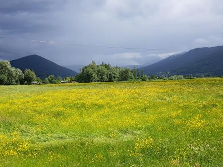 Barje med pomladansko nevihto A Klemenc